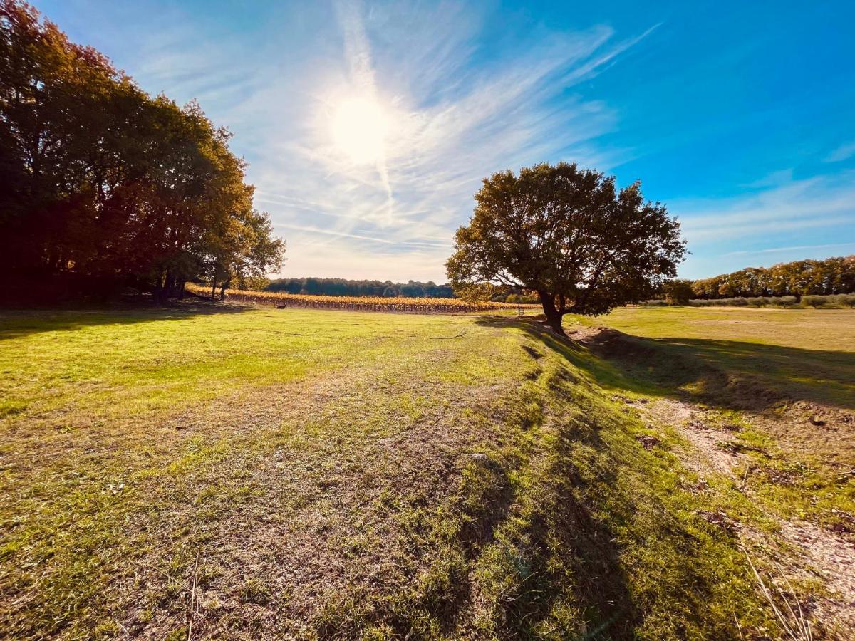 Domaine Amourella Aparthotel Lambesc Kültér fotó